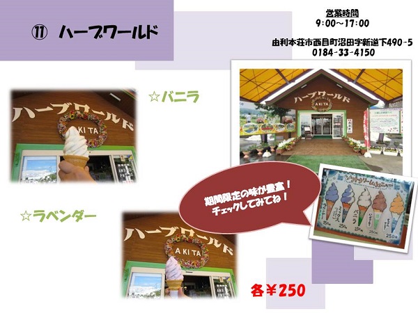 �n�[�u���[���h